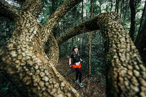 BIB: 
                            <button type="button" onclick="openModal(25394303)" class="btn btn-primary btn-sm float-right btn-popup" data-toggle="modal" data-target=".modal-high-quality">
                        <i class="fas fa-shopping-cart"></i> Add to Cart
                    </button>
                                            <button type="button" onclick="isThisMe(25394303, true)" class="btn btn-success btn-sm float-right btn-popup btn-isme hidden" data-toggle="tooltip" data-placement="bottom" title="นี่คือรูปของคุณใช่ไหม คลิกที่นี่เพื่อเอาเข้าอัลบั้ม">
                        <i class="fas fa-plus"></i> Add to album
                    </button>
                    <button type="button" onclick="isThisMe(25394303, false)" class="btn btn-warning btn-sm float-right btn-popup btn-isnotme hidden">
                        <i class="fas fa-ban"></i> Remove from album
                    </button>